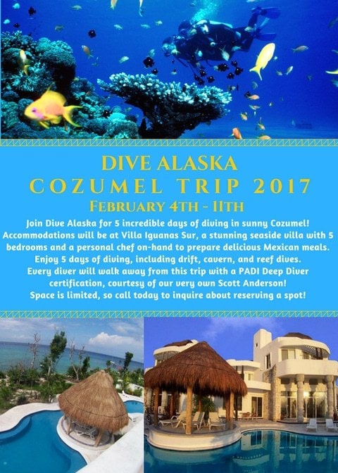 conzumel poster