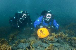 pumpkin in the sea