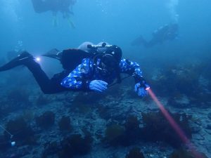 Alaskan Divers in Alaskan Waters