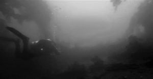 Diving the barge on the Fox Island Spit in Resurrection Bay