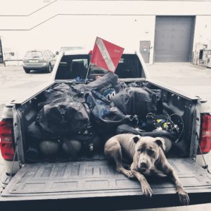 Ready to Roll