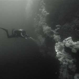 visit alaska scuba dive tour