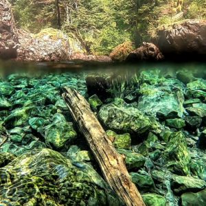 waterfall dive alaska underwater photo excursions travel