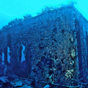 The Box in Smitty's Cove