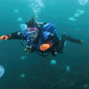 Diving in a Jellyfish Bloom in Alaska