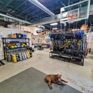 Dive Alaska Warehouse and Bruce